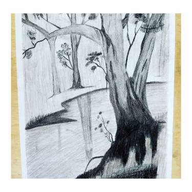 Print of Tree Drawings by Sukaina Ibrahim