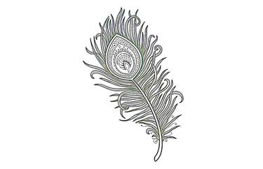 Peacock feather sketch design thumb