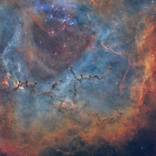The Rosette Nebula in Narrowband - The Galactic Rose by anca popa