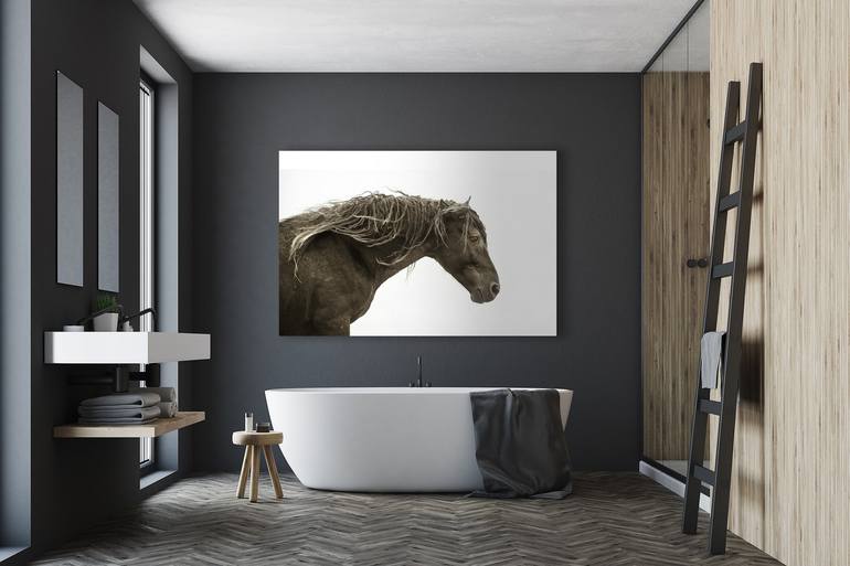 Original Fine Art Horse Photography by Debra Garside