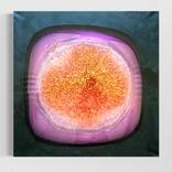 Fusion Core by Asya Alpay