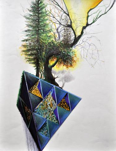 Original Abstract Tree Drawings by Julian Lee