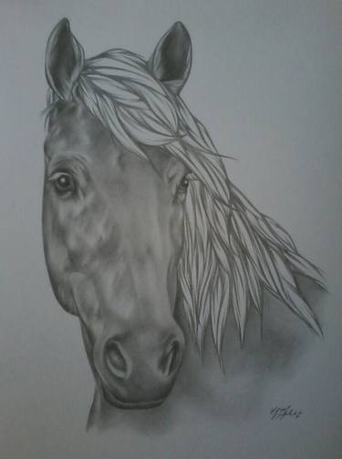 Original Photorealism Horse Drawings by SOPHIE DUMONT