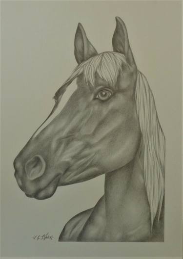 Original Contemporary Horse Drawing by SOPHIE DUMONT