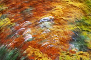 Original Abstract Expressionism Nature Photography by Sergio Muscat