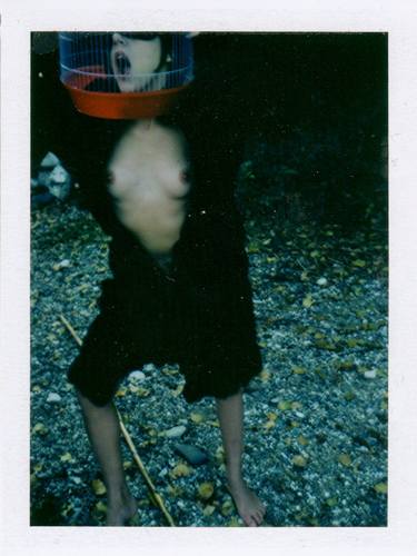 Bird in a Cage - Polaroid Edition, Limited Edition 1 of 5 thumb