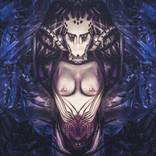 Biomechanical I - Limited Edition of 4 by Manuel Colombo