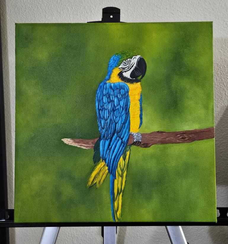 Original Photorealism Animal Painting by Shyanne Jenkins
