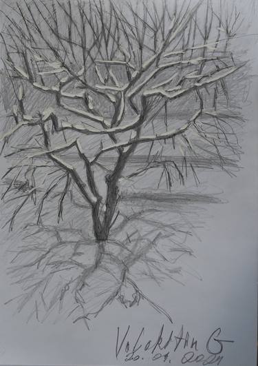Print of Expressionism Tree Drawings by Hennadii Volokitin