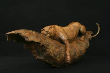 Original Animal Sculpture by Adam Binder