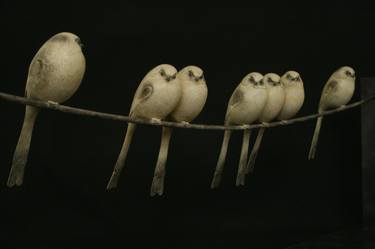 Seven Long Tailed Tits thumb