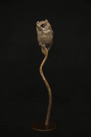 Scops Owl thumb