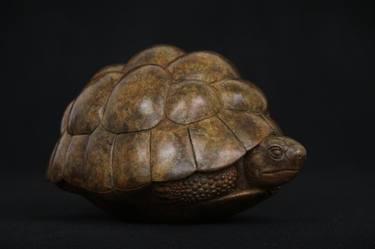 Bronze Tortoise thumb