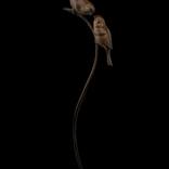 Bronze Two Sparrows by Adam Binder