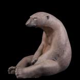 Bronze Polar Bear by Adam Binder