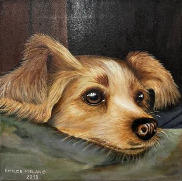 Original Realism Dogs Paintings by Emilce Melano