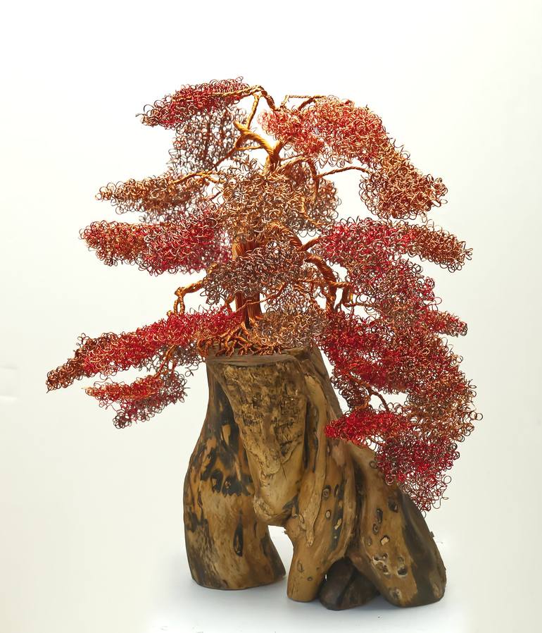 Original Figurative Tree Sculpture by Helene Barrott