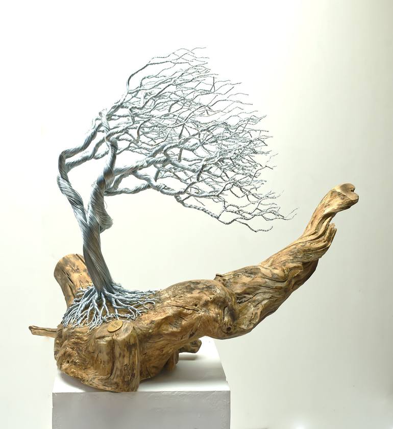 Original Contemporary Tree Sculpture by Helene Barrott