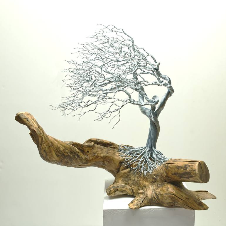 Original Contemporary Tree Sculpture by Helene Barrott