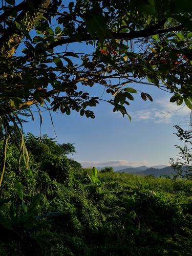 Beautiful morning view of Bukit Antarabangsa. thumb