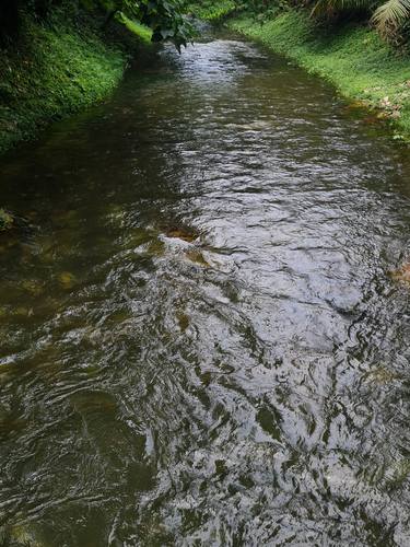 A beautiful stream at the foot of Melawati Hills. thumb