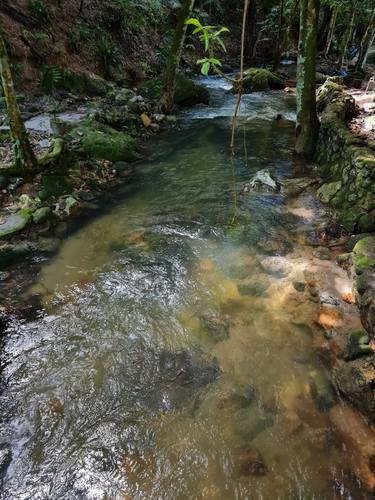 A shallow and beautiful stream. thumb