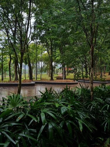 A beautiful park South of Kuala Lumpur. thumb