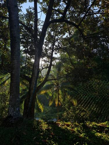 Early morning light and shadows. thumb