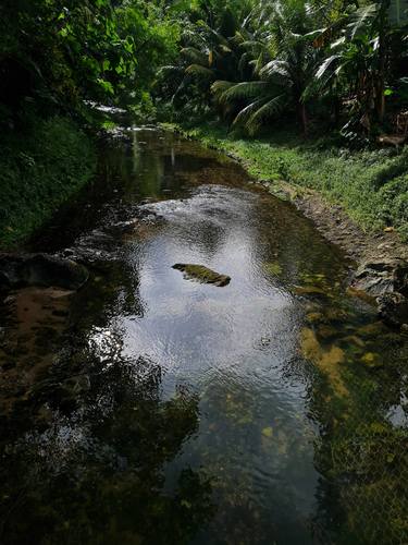 Enchanting view of a shallow stream. thumb
