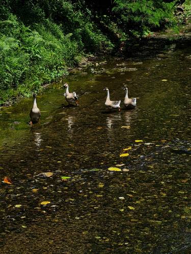 Original Realism Landscape Photography by Jess Hon
