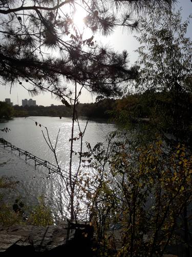 Original Realism Landscape Photography by Jess Hon