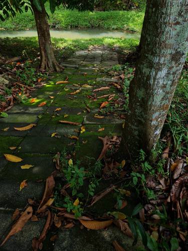 Original Realism Landscape Photography by Jess Hon