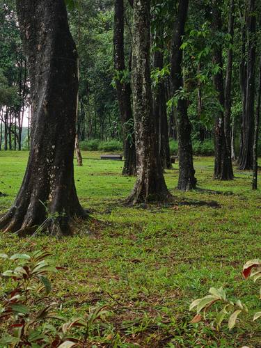 Original Realism Landscape Photography by Jess Hon