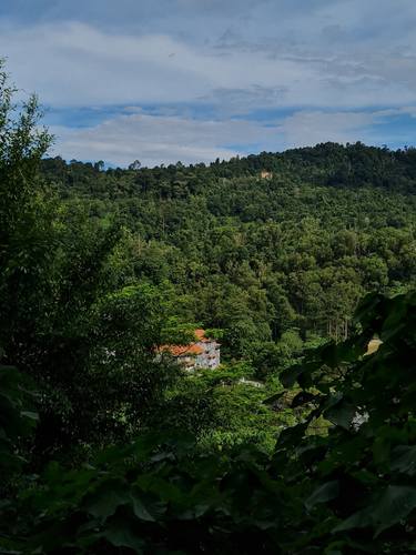 Original Realism Landscape Photography by Jess Hon