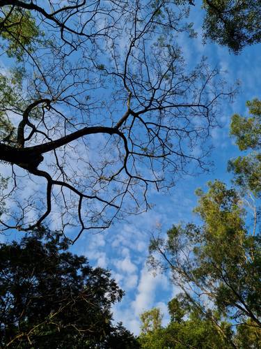 Original Realism Landscape Photography by Jess Hon