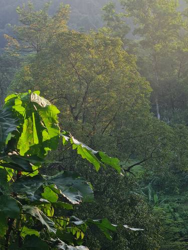 Original Realism Landscape Photography by Jess Hon