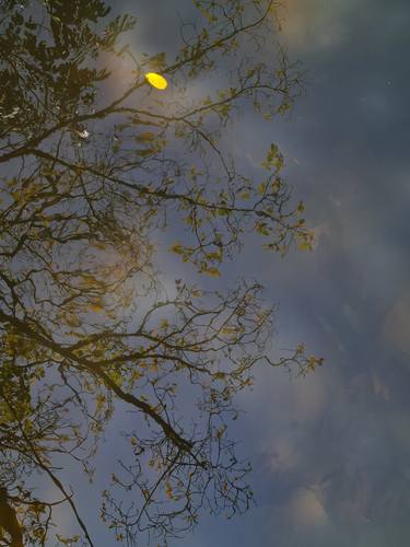 Original Realism Landscape Photography by Jess Hon