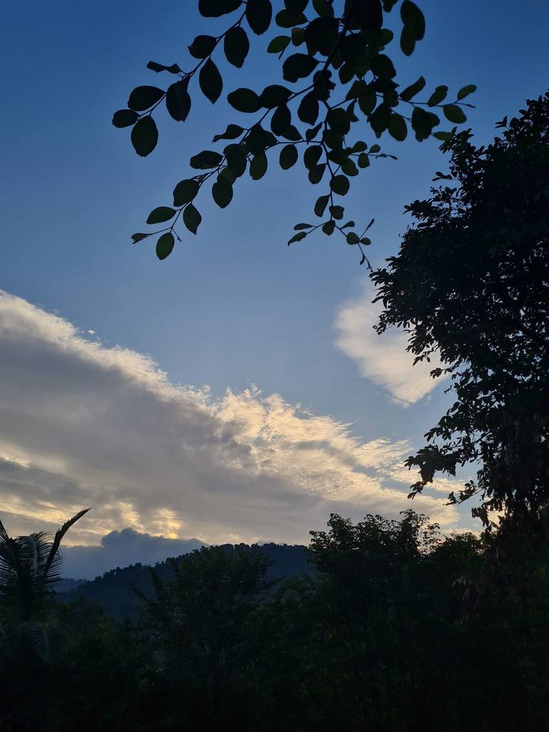 Early morning light., image size:770x1027