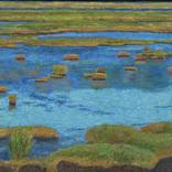 Collection Landscape