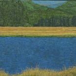 Collection Landscape