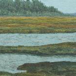 Collection Landscape