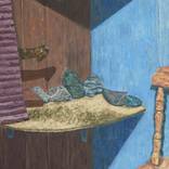 Collection Still life