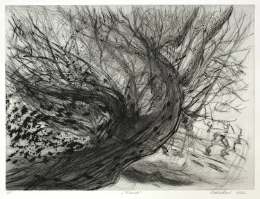 Print of Figurative Tree Printmaking by Barbora Kachlikova