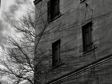 A tree shadow on a building thumb