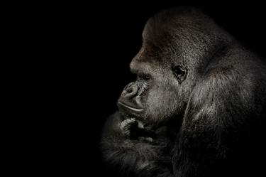 Original Fine Art Animal Photography by Anthony Gaudun