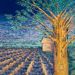Lavender Field