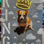 King Peach by Cassidy Barnes
