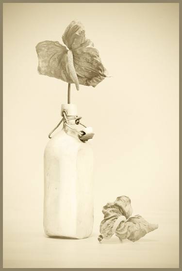 Original Fine Art Still Life Photography by fernand Reiter