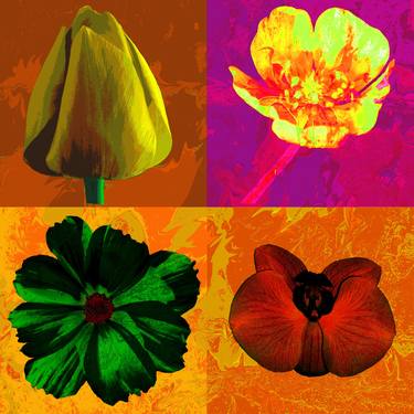 Original Abstract Floral Photography by fernand Reiter