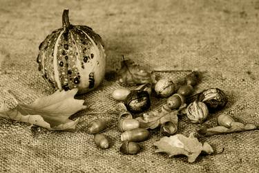 Original Fine Art Still Life Photography by fernand Reiter